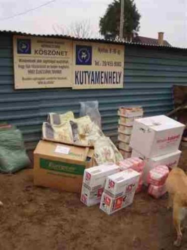die ersten Spenden fuer ein Tierheim in Ungarn werden ausgeladen...