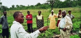 Hungerpräventionsprogramm in Sambia