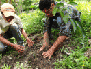 Guatemala-Projekt: "Bäume pflanzen, Klima schützen!"