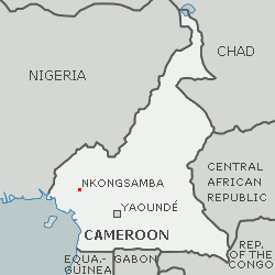 Aufbau der Augenklinik in Nkongsamba / Kamerun