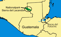 Guatemala-Projekt: "Bäume pflanzen, Klima schützen!"